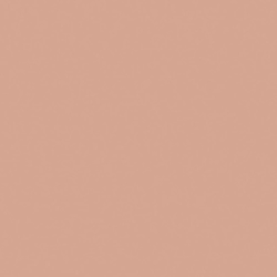 Плитка Equipe Bauhome 27681 Rose 20x20