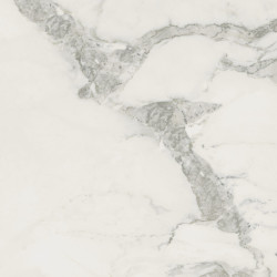 Керамогранит Coliseum Michelangelo Cold / Микеланджело Колд 60x120