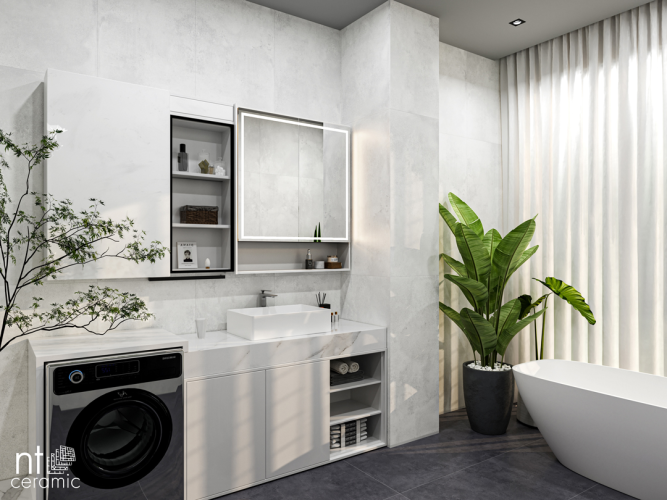 Керамогранит NT Ceramic NTT996040M Cemento Bianco 60х60