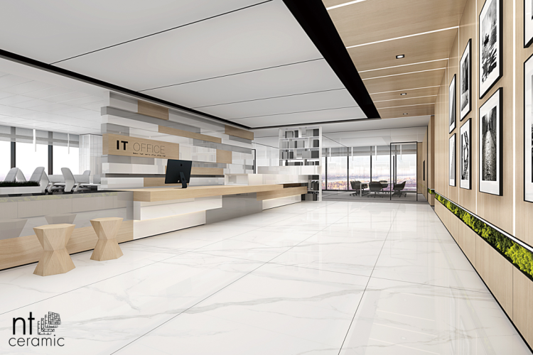 Керамогранит NT Ceramic NTT3009M Statuario mat 120x240