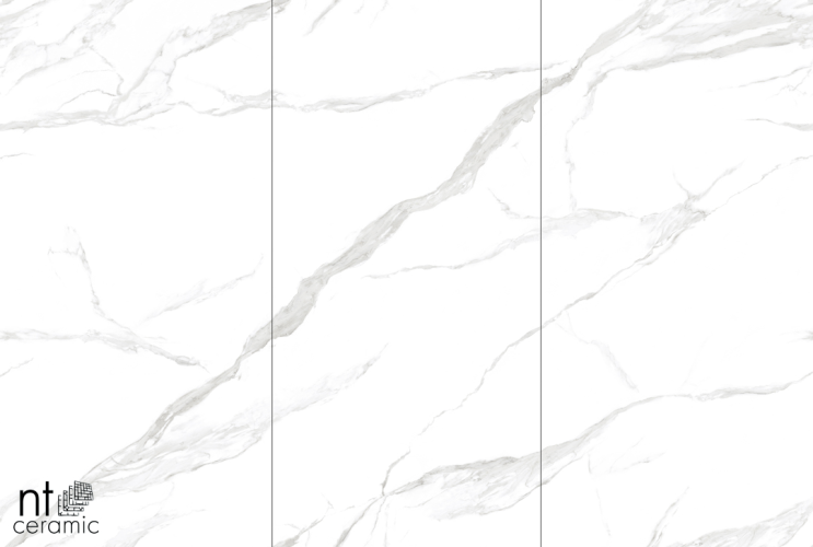 Керамогранит NT Ceramic NTT3009M Statuario mat 120x240