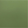 Плитка Equipe Rivoli 30716 Green 20x20