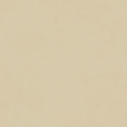 Керамогранит Neodom N12038 Design Colors Blossom Cream Matt 60x120