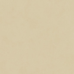 Керамогранит Neodom N12038 Design Colors Blossom Cream Matt 60x120