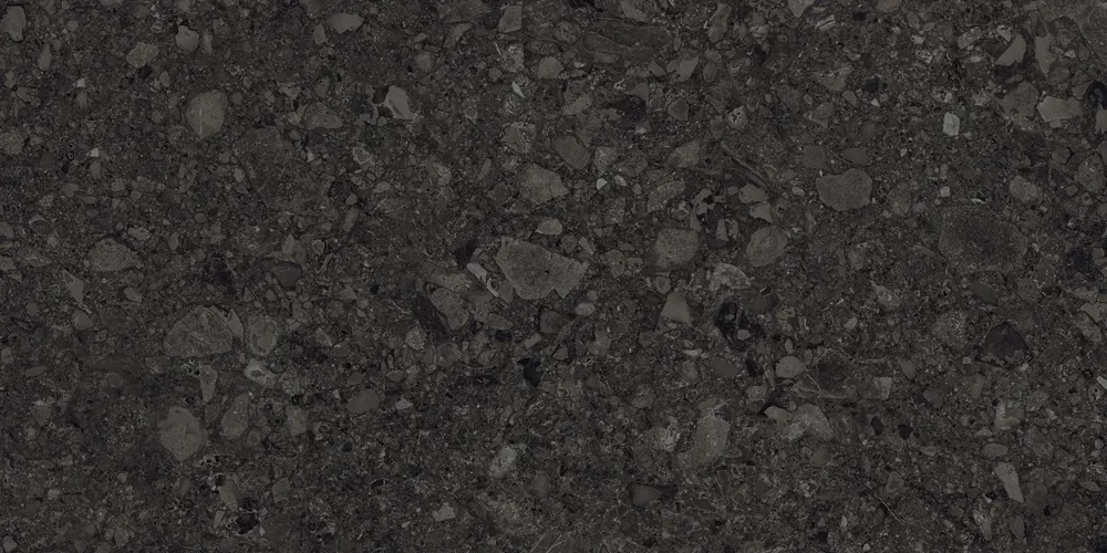 Керамогранит Duna RP-238601 Ceppo Di Nero GHR 60x120