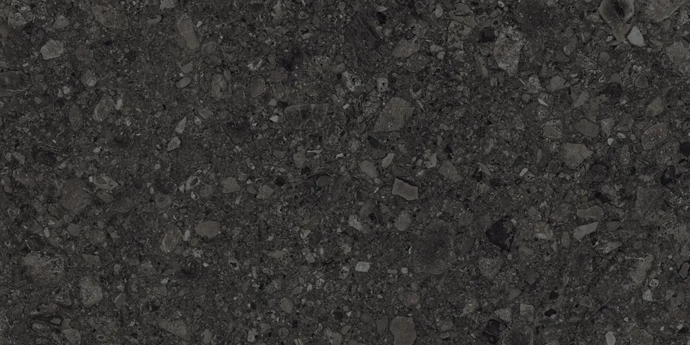 Керамогранит Duna RP-238601 Ceppo Di Nero GHR 60x120