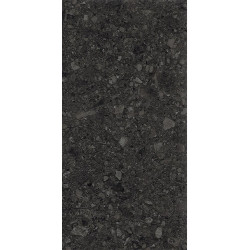 Керамогранит Duna RP-238601 Ceppo Di Nero GHR 60x120