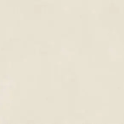 Керамогранит Atlas Concorde Italy AQ8P Boost Natural Pro Salt 60x120 Velvet