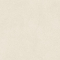 Керамогранит Atlas Concorde Italy AQ8P Boost Natural Pro Salt 60x120 Velvet