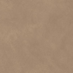 Керамогранит Atlas Concorde Italy A65W Boost Natural Coral 60x120