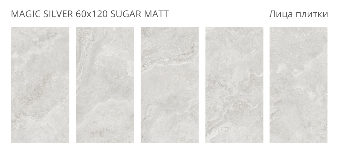 Magic Silver Sugar Matt 60x120 — фото 2