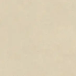 Керамогранит Atlas Concorde Italy AQ8Q Boost Natural Pro Oat 60x120 Velvet