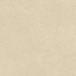 Керамогранит Atlas Concorde Italy AQ8Q Boost Natural Pro Oat 60x120 Velvet