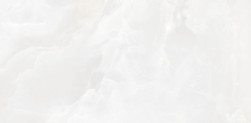 Керамогранит Neodom N130006 Onyx Invictus White Polished 60x120