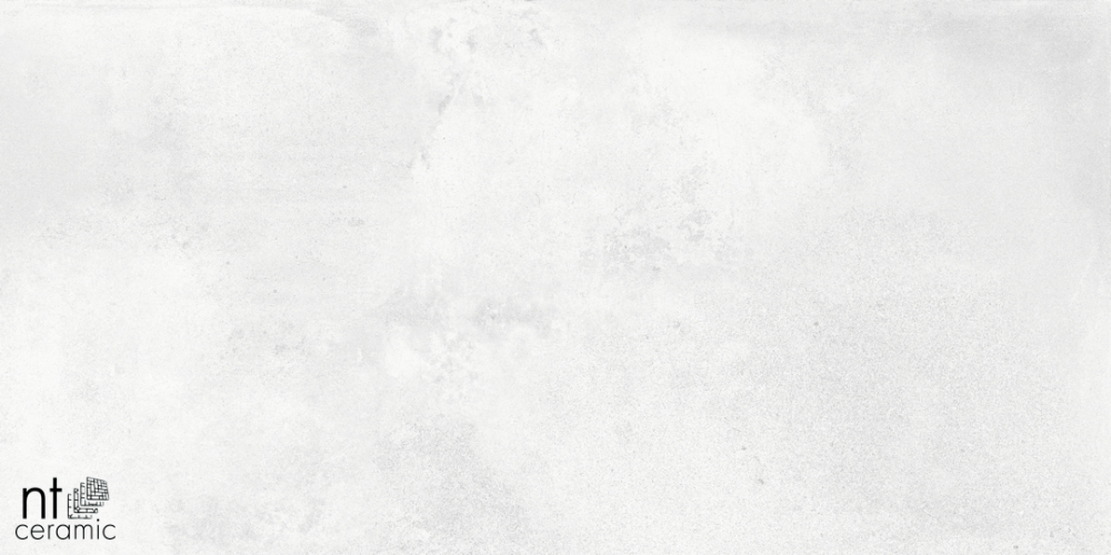 Керамогранит NT Ceramic NTT99604M Cemento Bianco 60х120