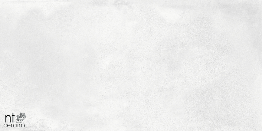 Керамогранит NT Ceramic NTT99604M Cemento Bianco 60х120