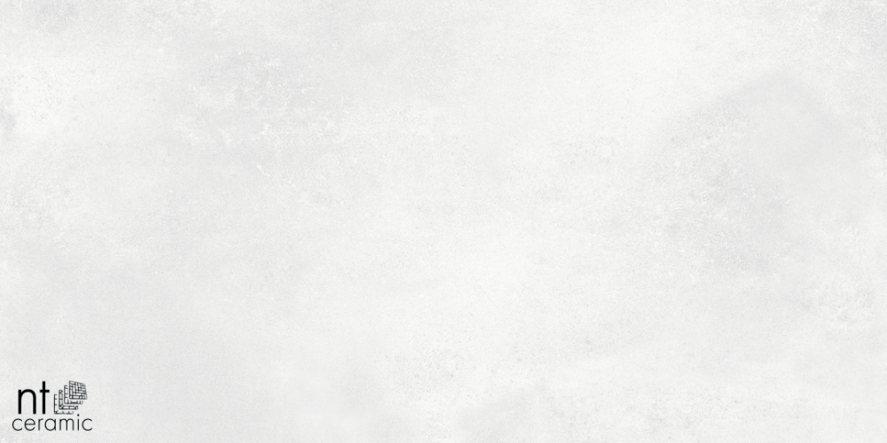 Керамогранит NT Ceramic NTT99604M Cemento Bianco 60х120