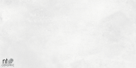 Керамогранит NT Ceramic NTT99604M Cemento Bianco 60х120