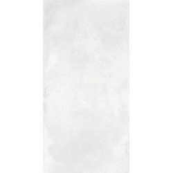 Керамогранит NT Ceramic NTT99604M Cemento Bianco 60х120