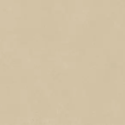 Керамогранит Atlas Concorde Italy AQ8R Boost Natural Pro Sand 60x120 Velvet