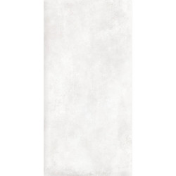 Керамогранит Alma Ceramica GFU60120TTM00R Totem матовый граниль 60x120 