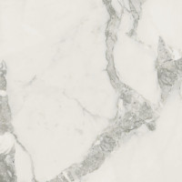 Керамогранит Coliseum Michelangelo Cold / Микеланджело Колд 60x60