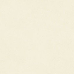 Керамогранит Neodom N12035 Design Colors Blossom Salix Matt 60x120