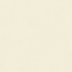 Керамогранит Neodom N12035 Design Colors Blossom Salix Matt 60x120