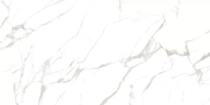 Керамогранит Dune RP-144407 Noble Glossy 60x120