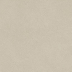 Керамогранит Atlas Concorde Italy AQ8S Boost Natural Pro Cinder 60x120 Velvet