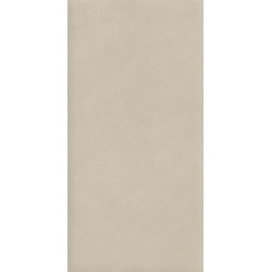 Керамогранит Atlas Concorde Italy AQ8S Boost Natural Pro Cinder 60x120 Velvet