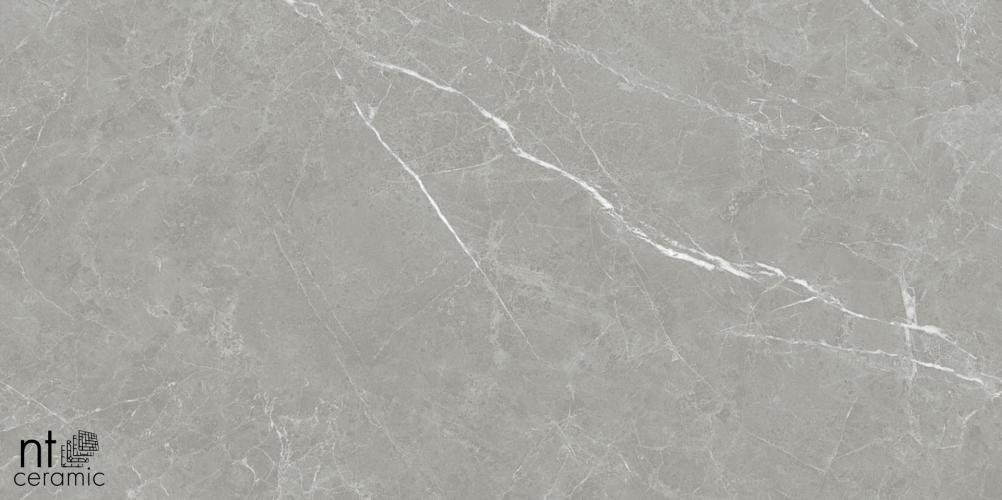 Керамогранит NT Ceramic PT612NTT1102L Pietra 60x120
