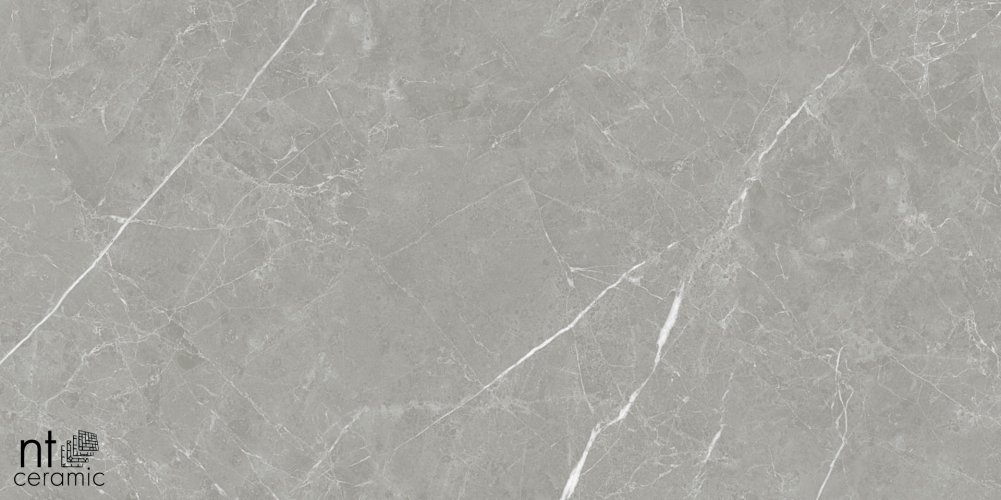Керамогранит NT Ceramic PT612NTT1102L Pietra 60x120