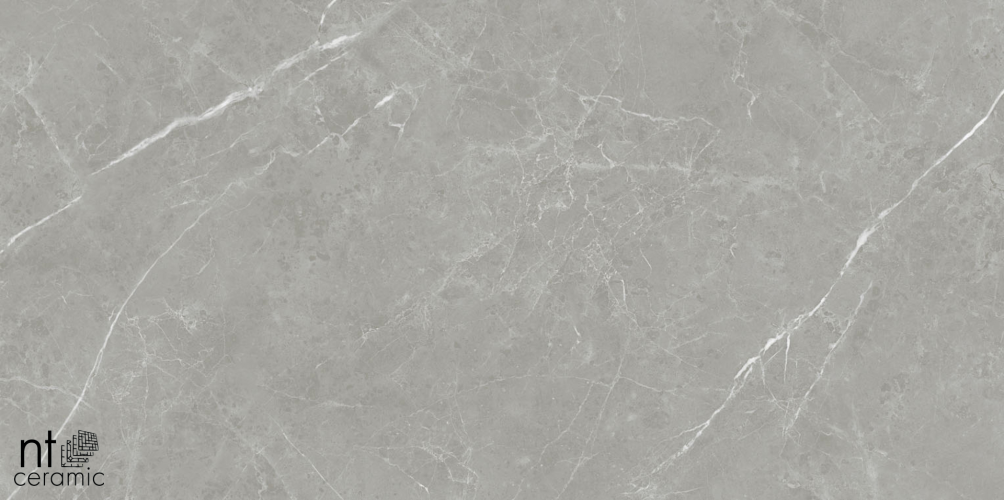 Керамогранит NT Ceramic PT612NTT1102L Pietra 60x120