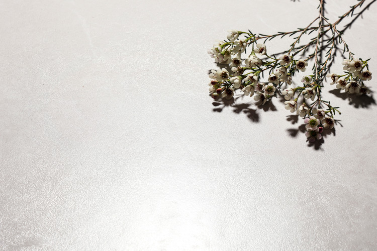Lava White Soft Lappato 60x120 — фото 2