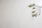 Lava White Soft Lappato 60x120 — фото 3