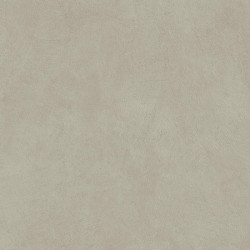 Керамогранит Atlas Concorde Italy AQ8T Boost Natural Pro Dove 60x120 Velvet