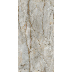 Керамогранит NT Ceramic NTT99517M Forest Carving 60x120