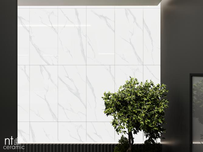 Керамогранит NT Ceramic NTT9106P Statuario 60x120