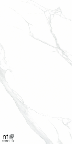 Керамогранит NT Ceramic NTT9106P Statuario 60x120