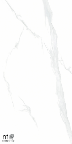 Керамогранит NT Ceramic NTT9106P Statuario 60x120