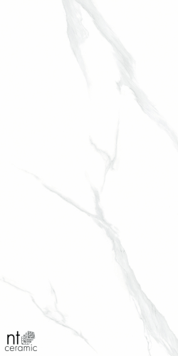 Керамогранит NT Ceramic NTT9106P Statuario 60x120
