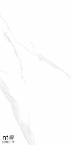 Керамогранит NT Ceramic NTT9106P Statuario 60x120