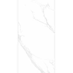 Керамогранит NT Ceramic NTT9106P Statuario 60x120