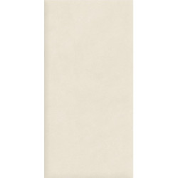 Керамогранит Atlas Concorde Italy AQ8Z Boost Natural Pro Salt 60x120