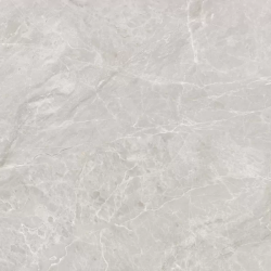 Керамогранит Ceradim х9999302391 Mramor Princess Grey Серый Полированный 60х120