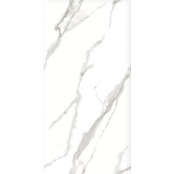 Керамогранит Ceradim х9999304601 Calacatta Sharp Silver Белый Полированный 60х120