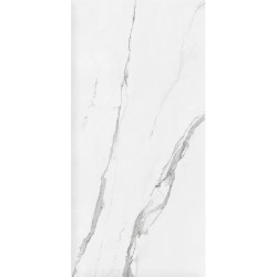 Керамогранит Pamesa 004.869.0012.09556 CELLINI BLANCO leviglass Rect. 60x120