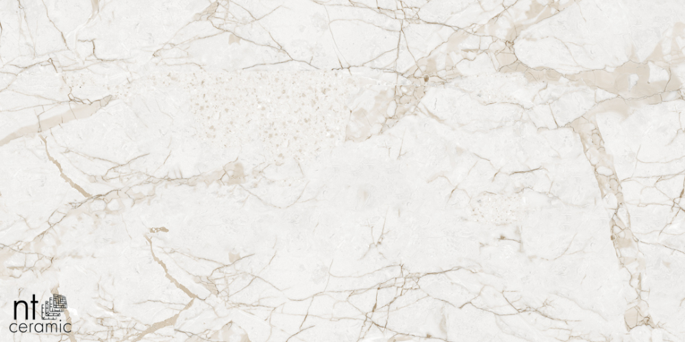 Керамогранит NT Ceramic NTT99519M Impero Grey Carving 60x120