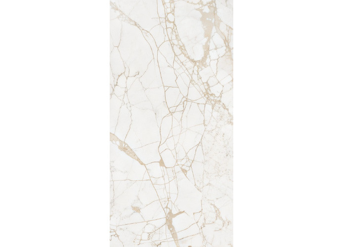 Керамогранит NT Ceramic NTT99519M Impero Grey Carving 60x120